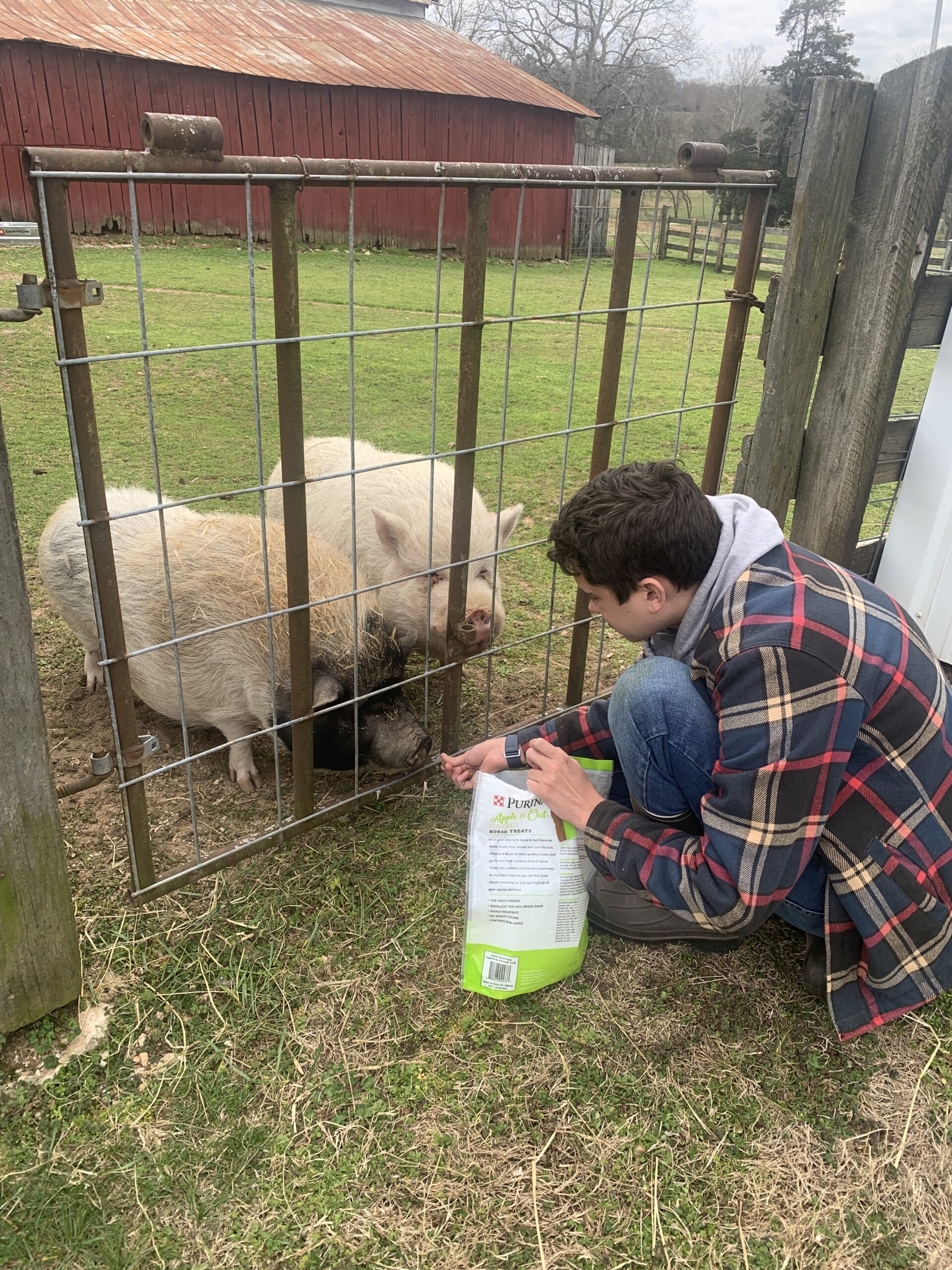 Life at Hidden Bee Farm