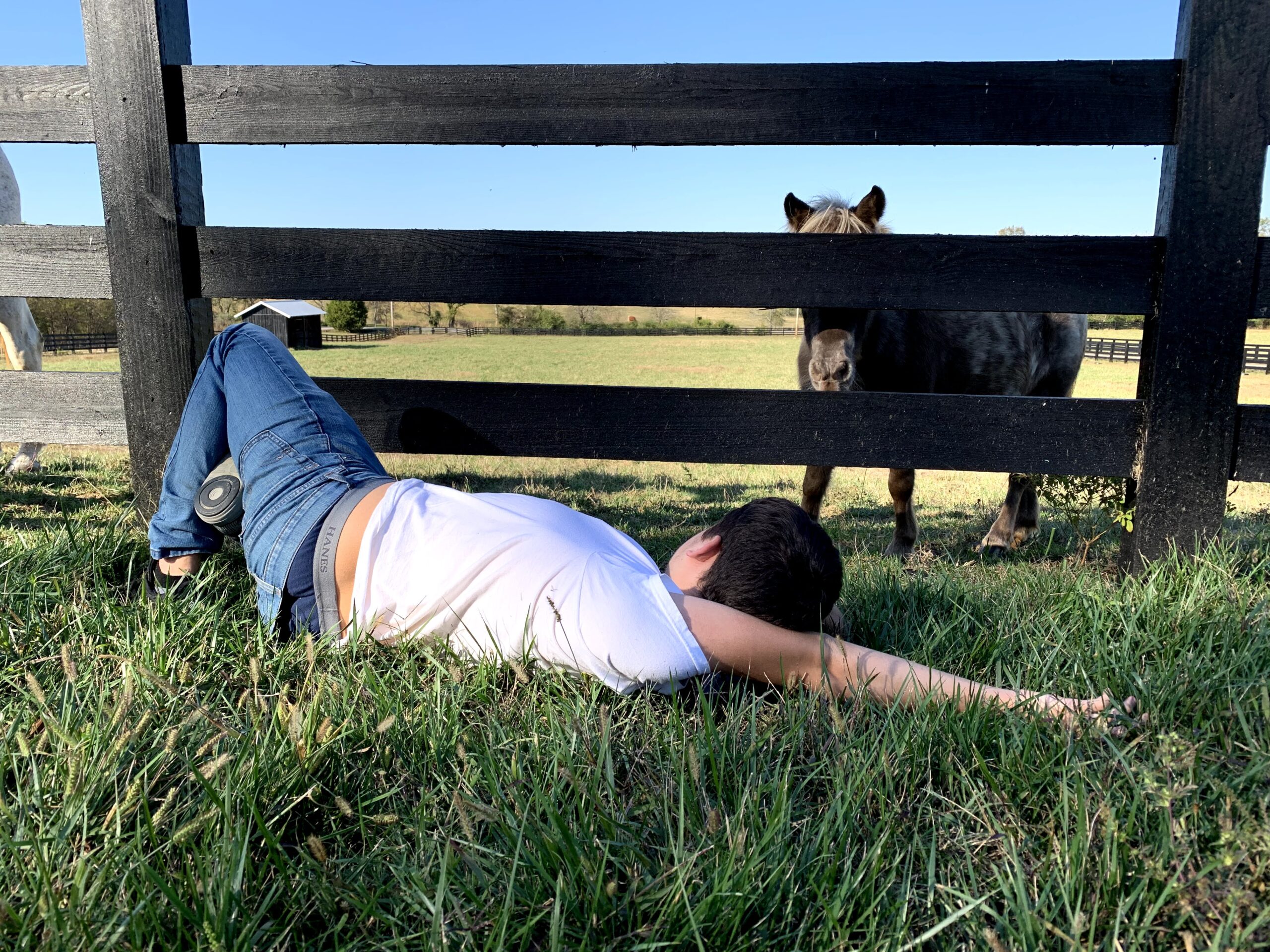 Jackson and animals at Hidden Bee Farm