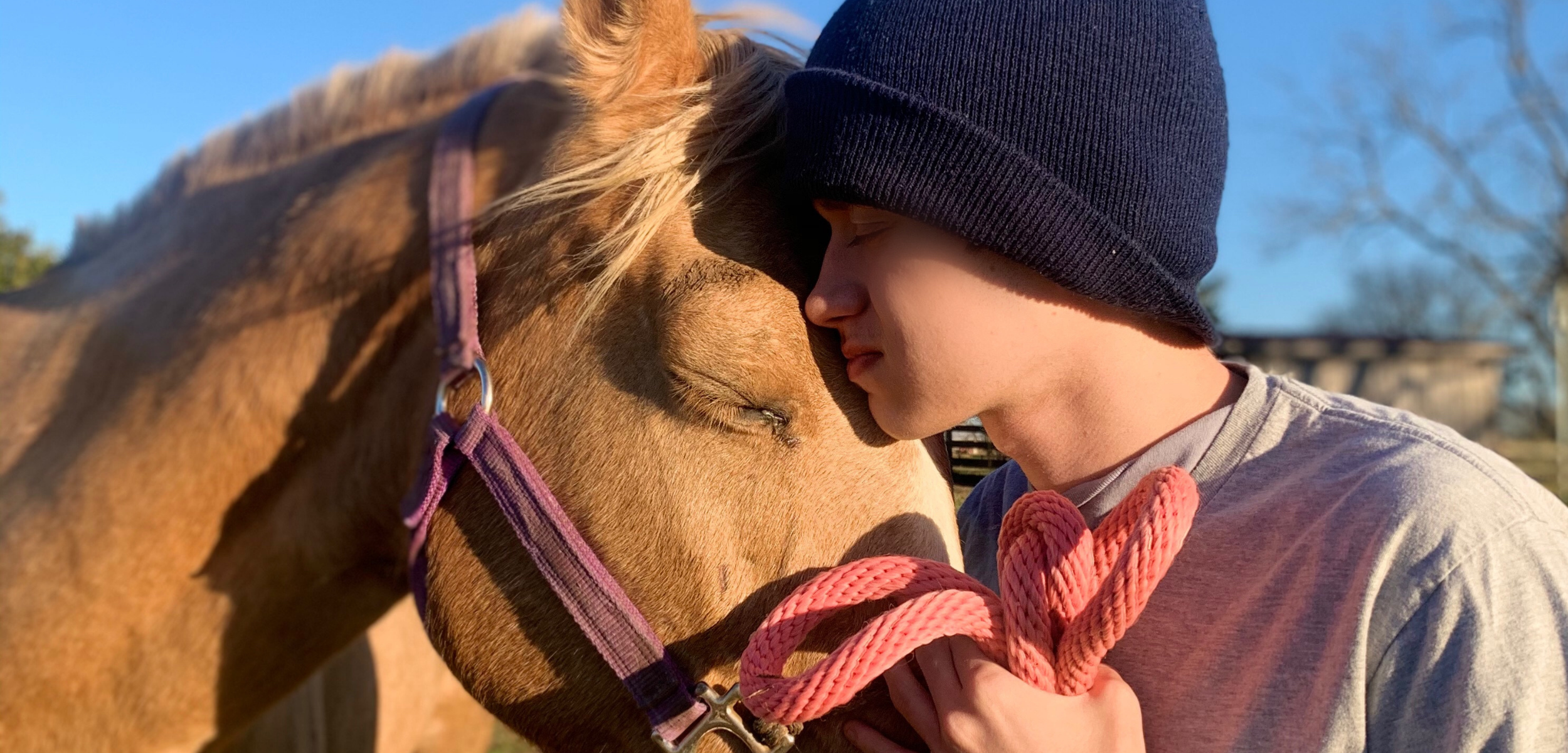 Goldie, blind horse at Hidden Bee Farm
