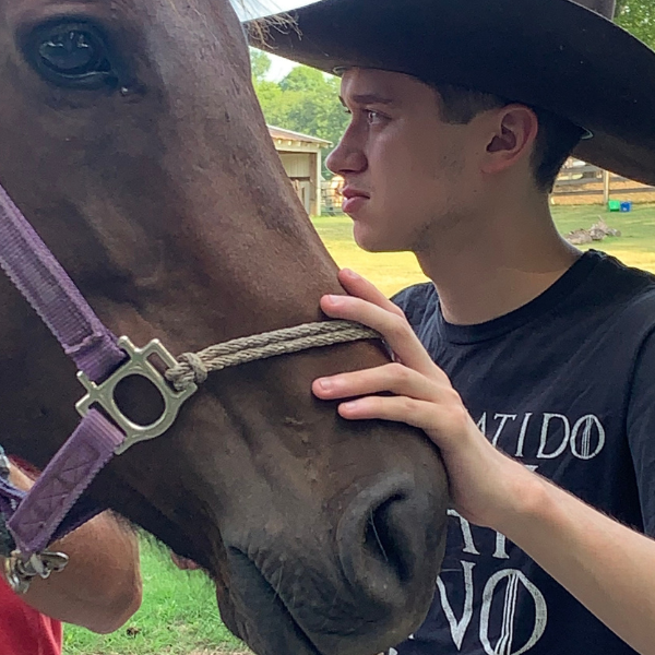 The Heart of Hidden Bee Farm