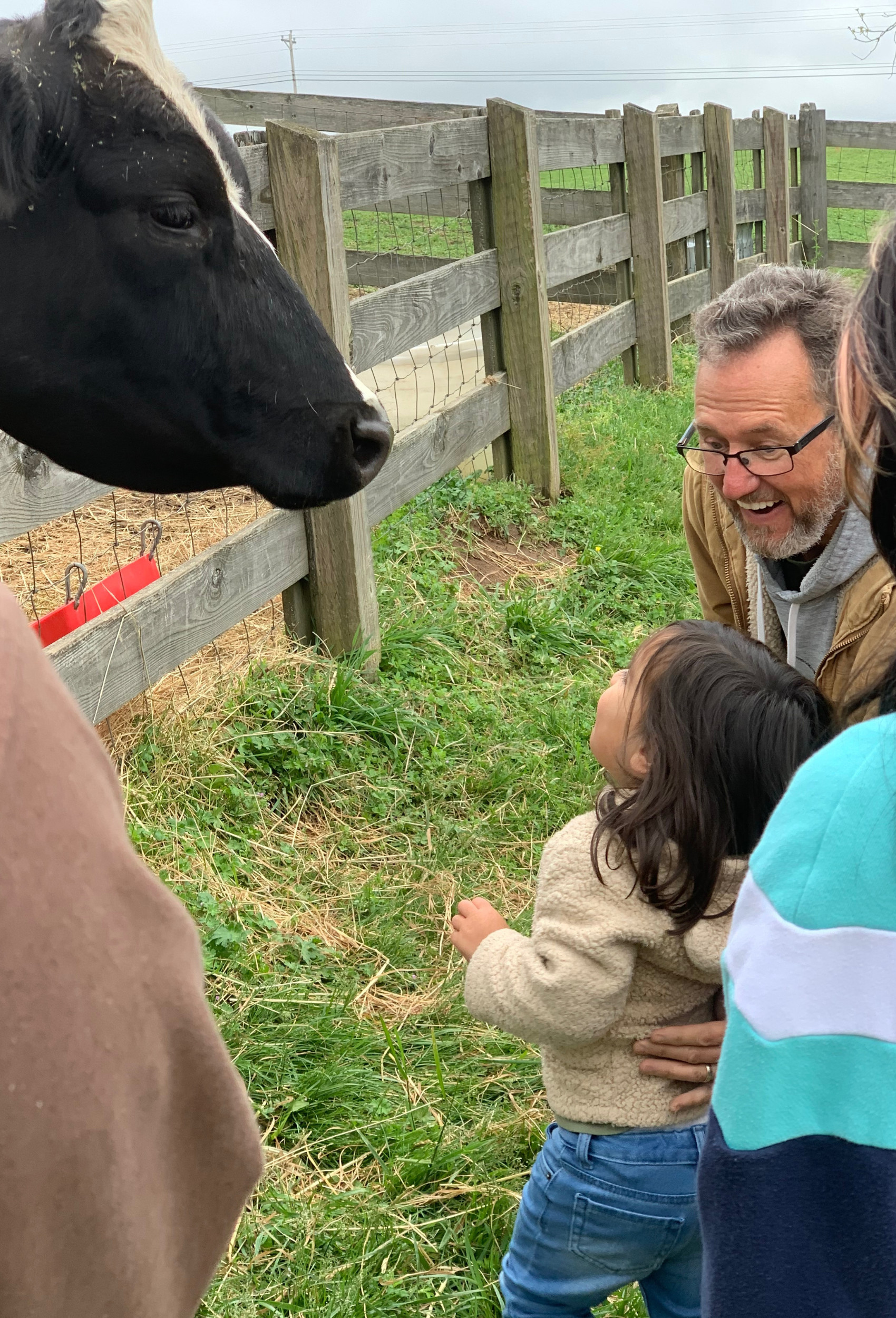 Hidden Bee Farm values and humane animal care