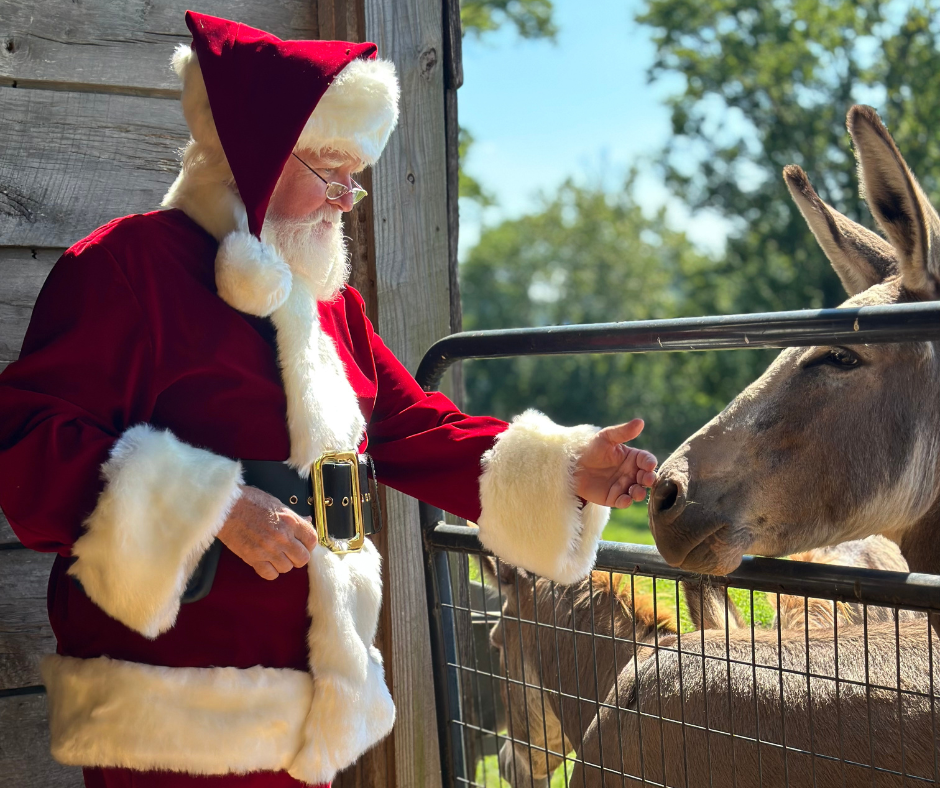 Santa and Mrs. Claus at Hidden Bee Farm