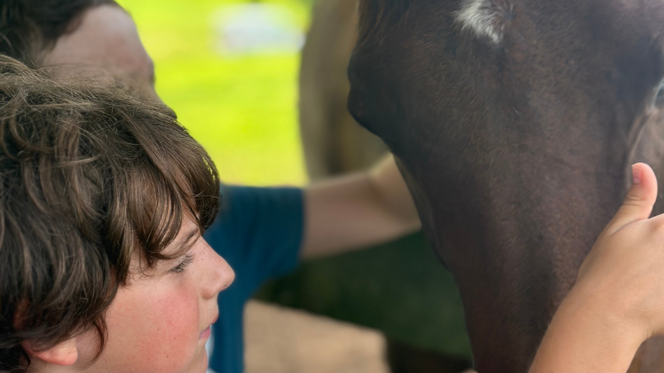 Child gently interacting with a rescued animal at Hidden Bee Farm