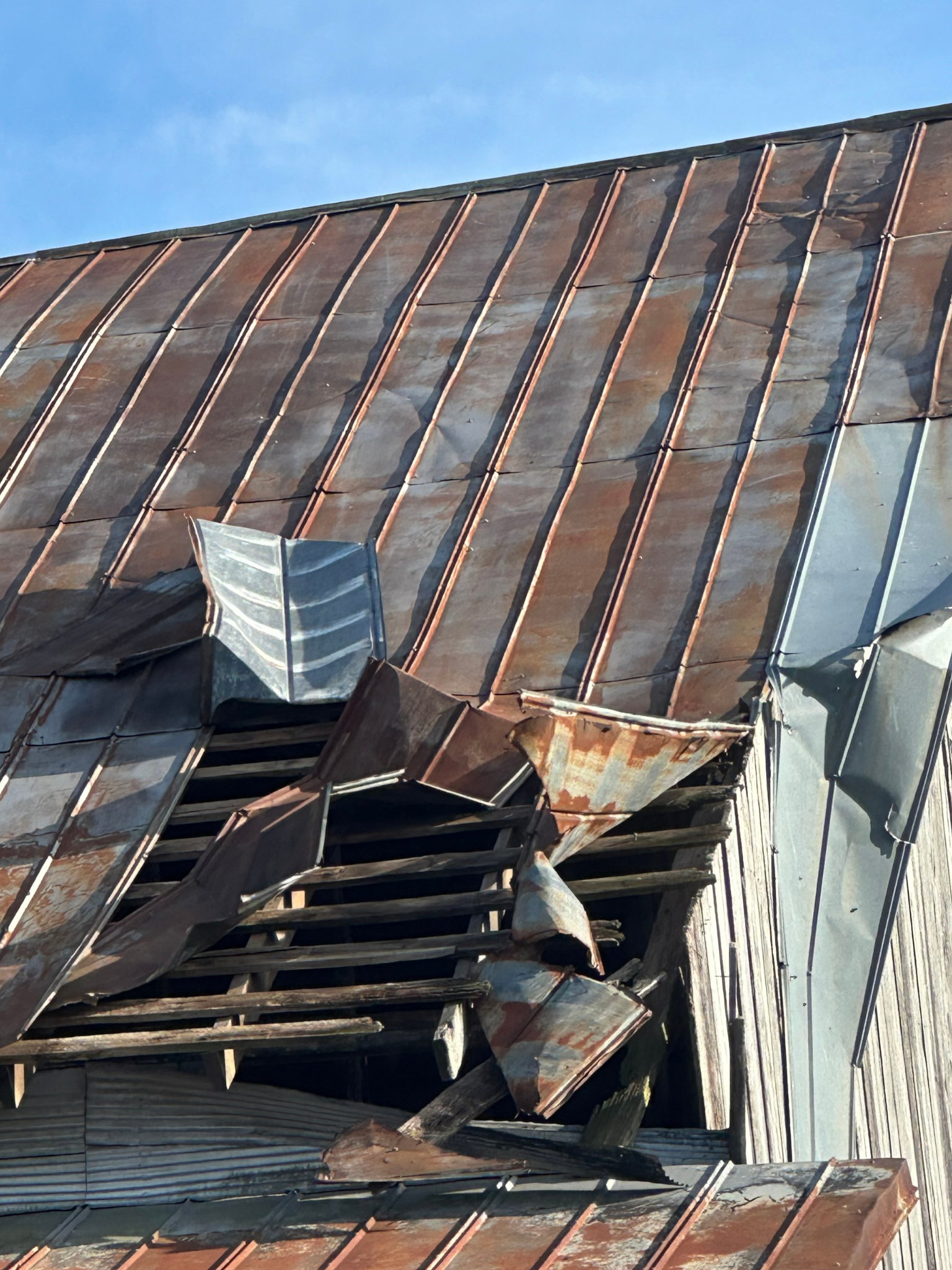 Ice storm damage at Hidden Bee Farm