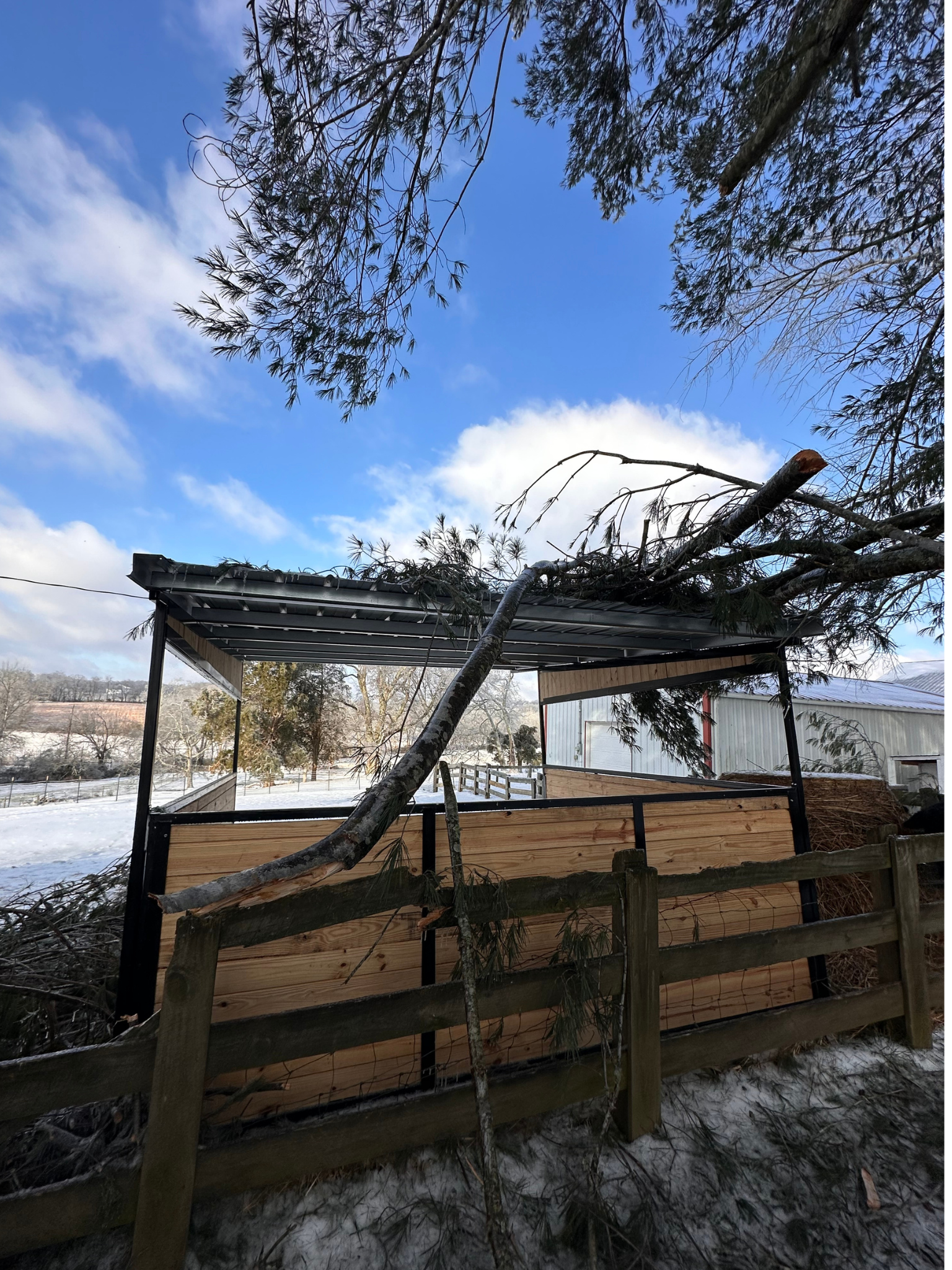 Tornado damage near Hidden Bee Farm, March 2026
