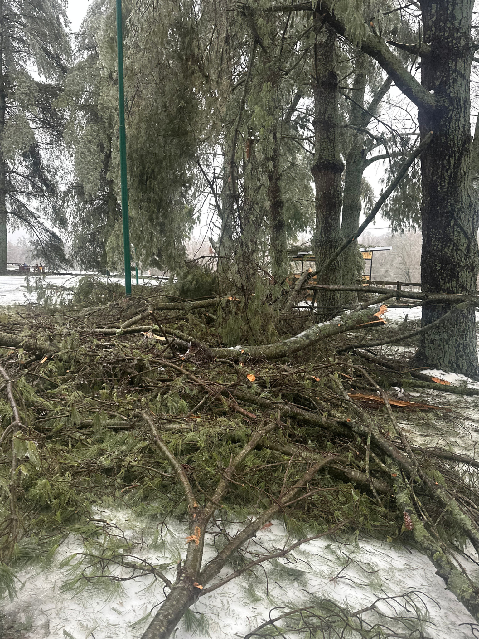 Aftermath of severe weather at Hidden Bee Farm